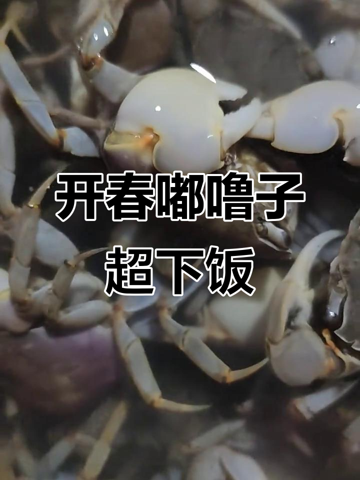 春天必备!羊口老咸菜,虾油萝卜配螃蟹,开胃又下饭