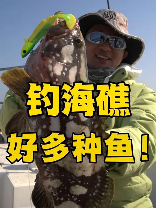 嵊山岛避风后出海,海礁钓鱼狂咬,品种是真多!