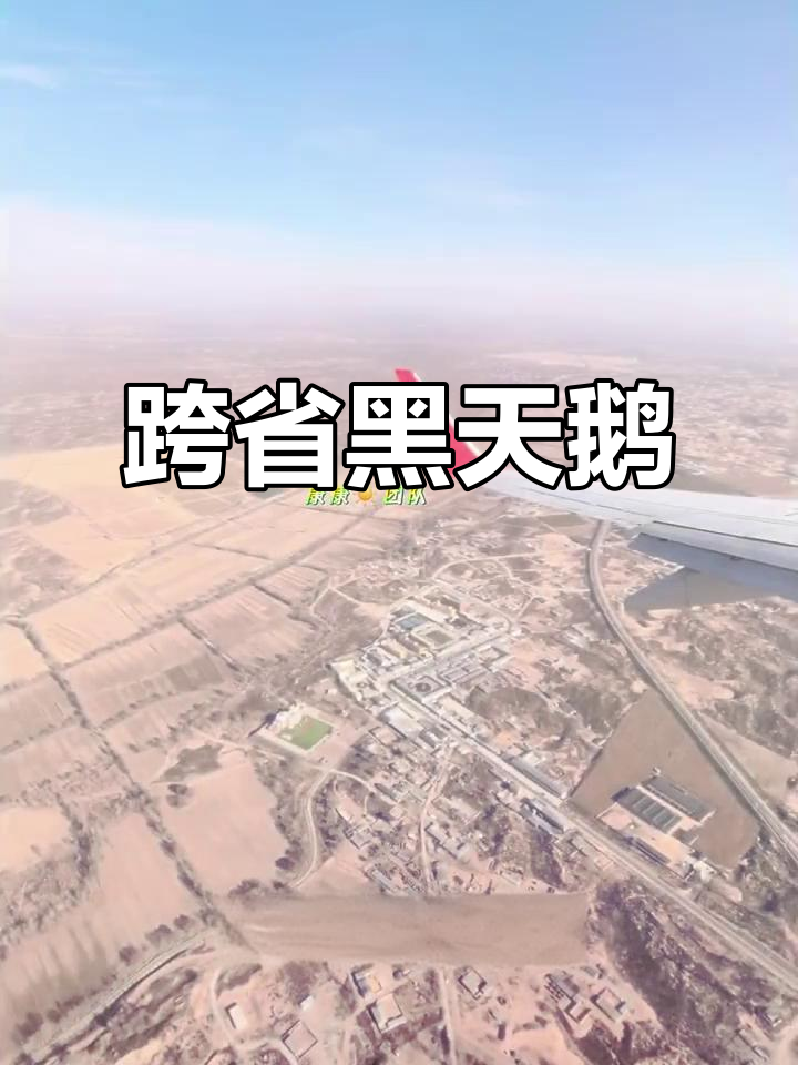 黑天鹅蛋糕跨越千里,从北京送到陕西神木