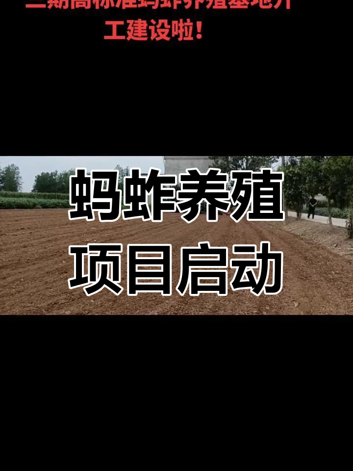 高标准蚂蚱养殖基地开工建设