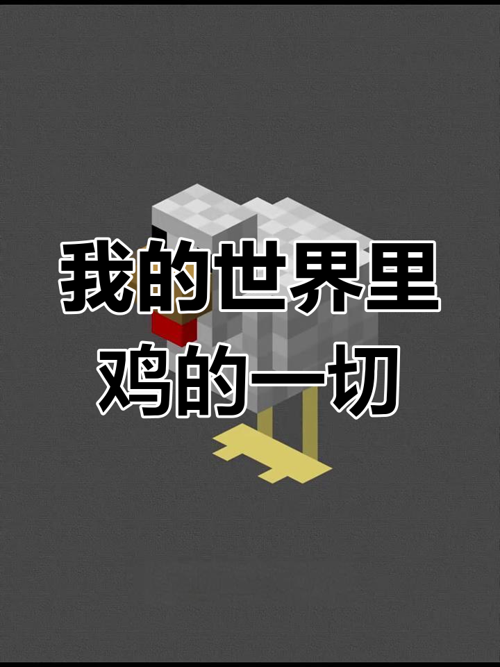 了解我的世界鸡的成长与繁殖全过程