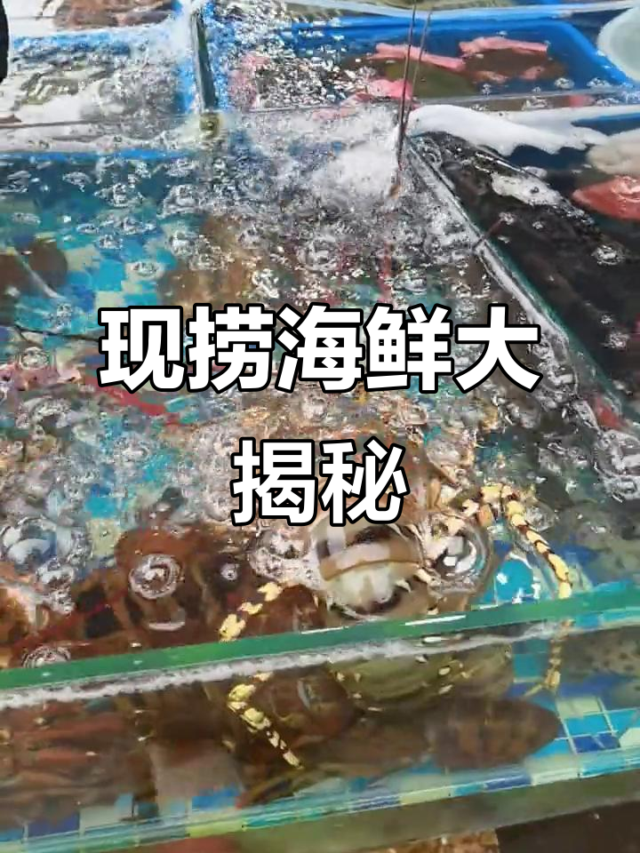 海鲜新鲜直捞,青龙花龙价格揭秘