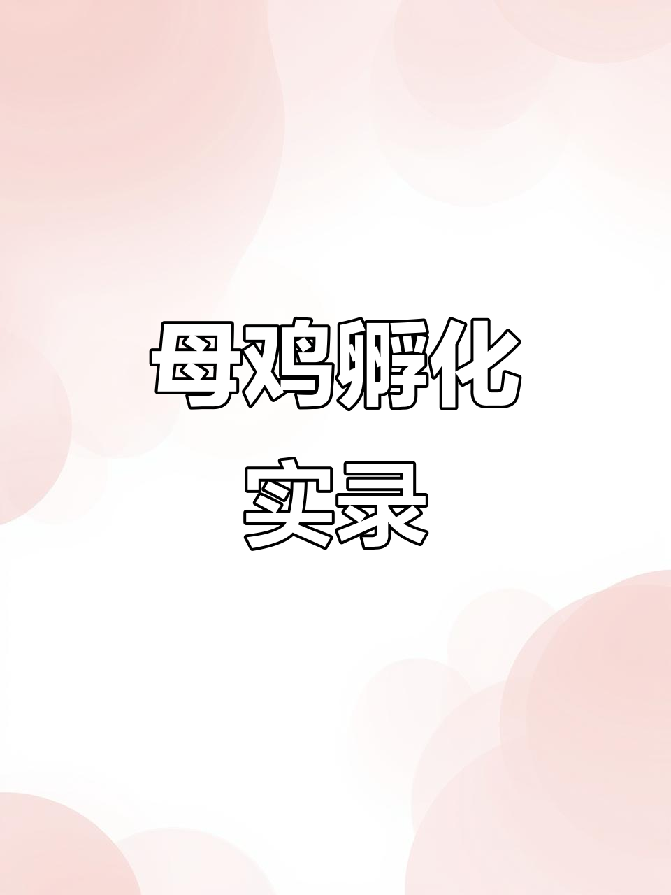 母鸡孵蛋全过程,竟然这么快就出壳了!