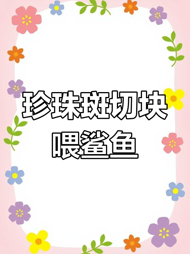 珍珠斑喂鲨鱼,切成小块更美味