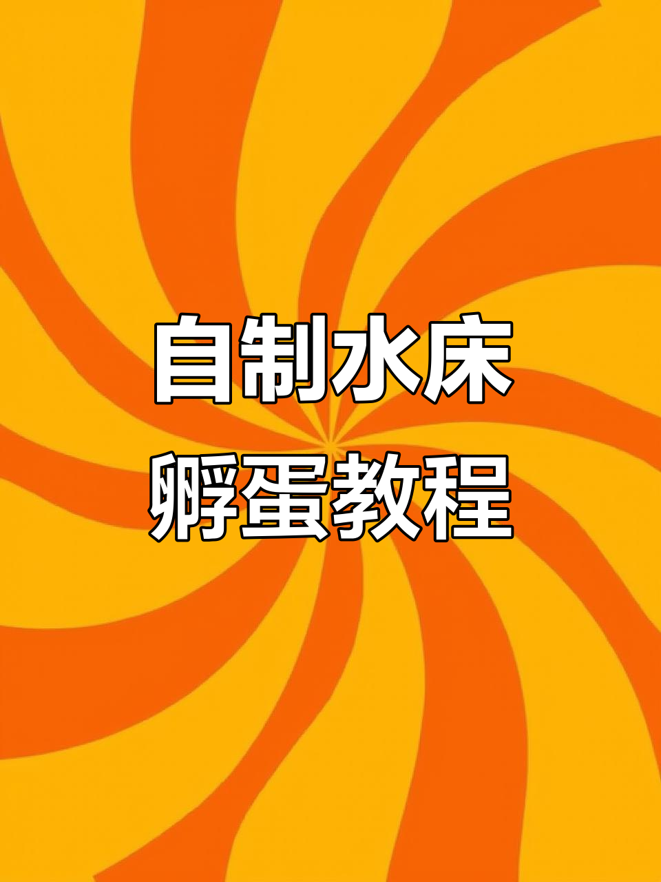 家庭人工孵化小鸡,简单又有趣