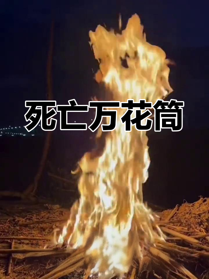 死亡万花筒:阮南烛与林秋石的命运