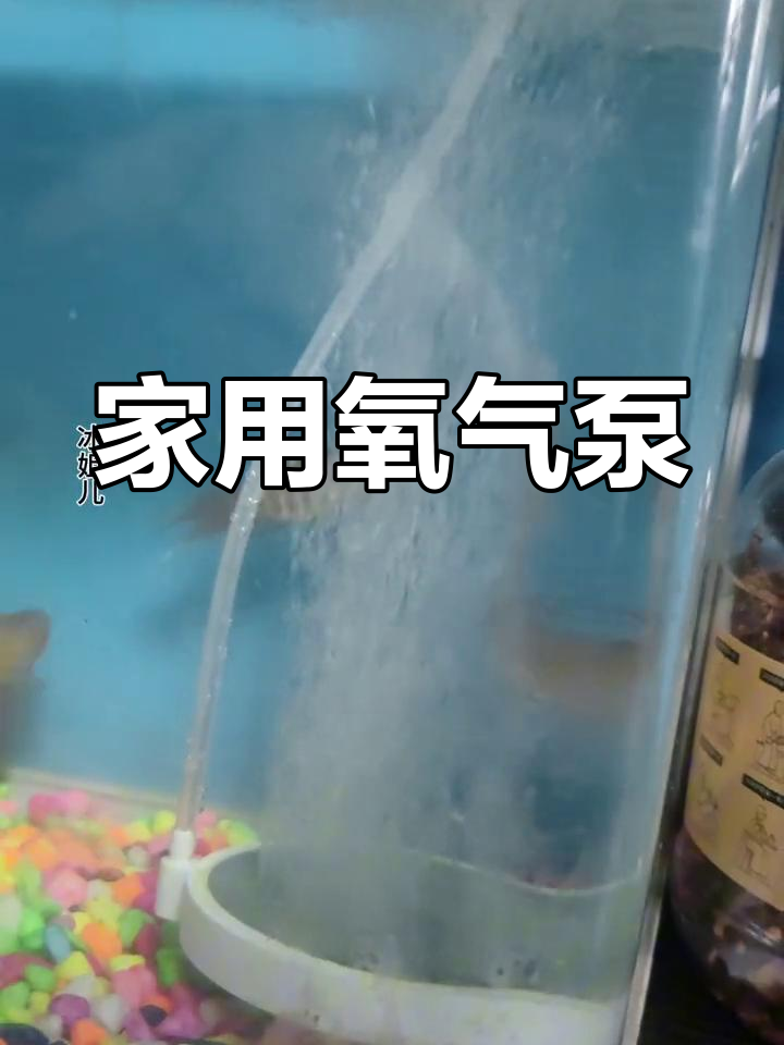 鱼缸增氧泵,鱼儿更活跃
