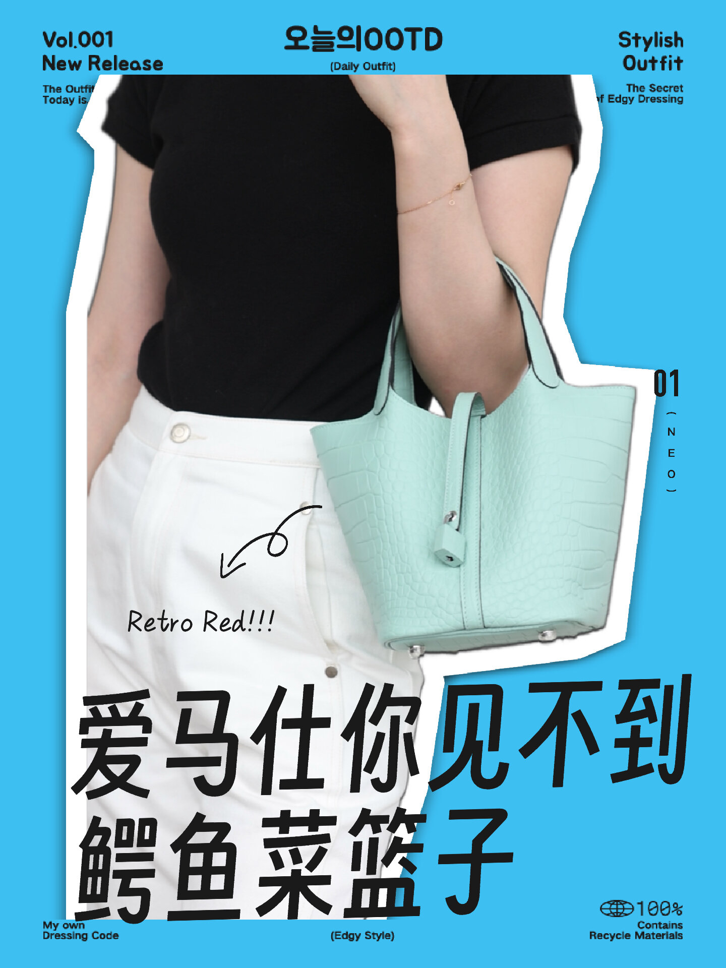 爱马仕很少会有人拥有的菜篮子鳄鱼皮