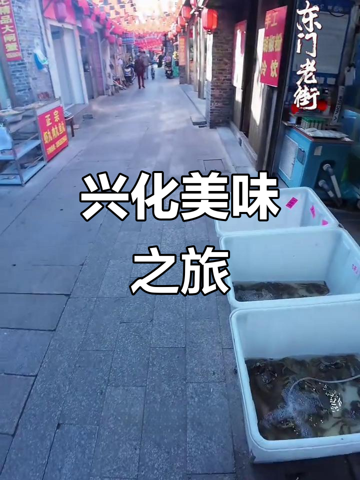 兴化美食大探秘,糯米丸子、包子馄饨样样让人欲罢不能!