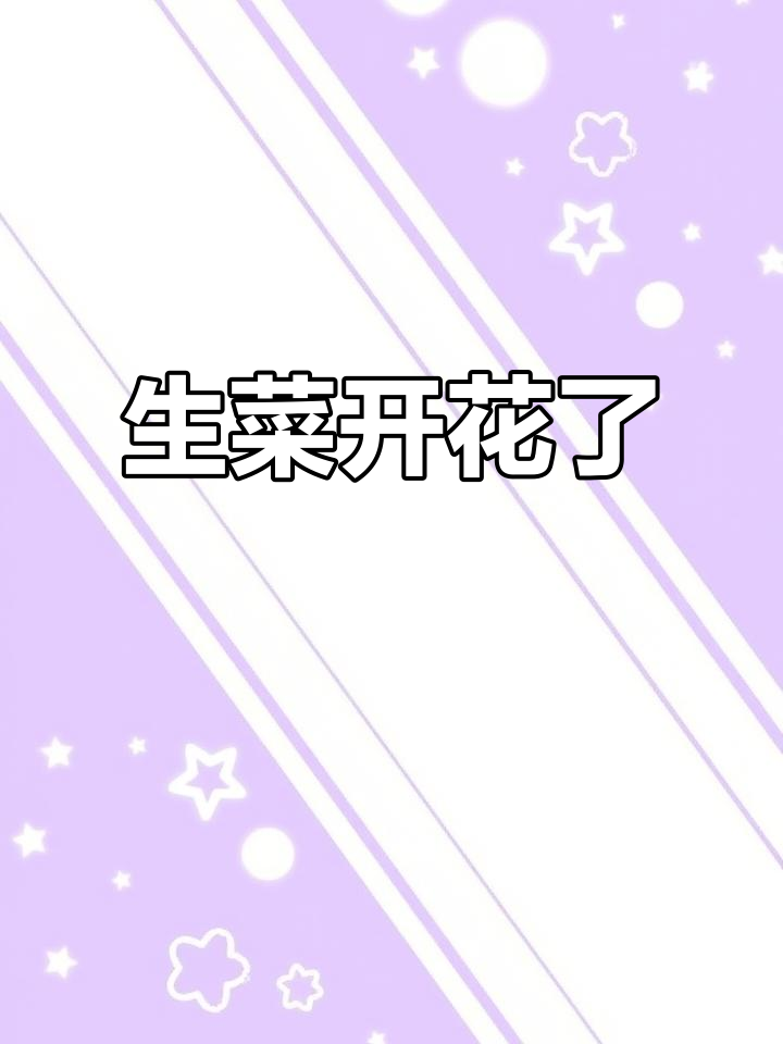 这颗生菜竟然开花,结籽后就能收获无限!