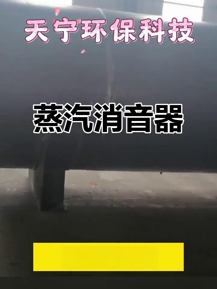 蒸汽消声器，专业制造与生产