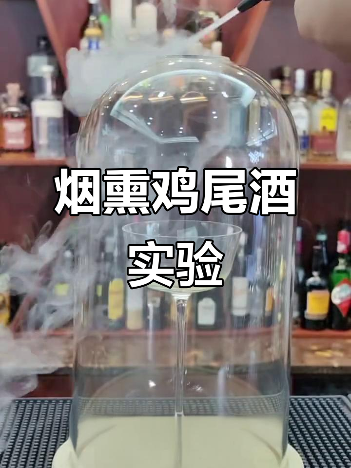 烟熏鸡尾酒制作,三种工具大比拼!