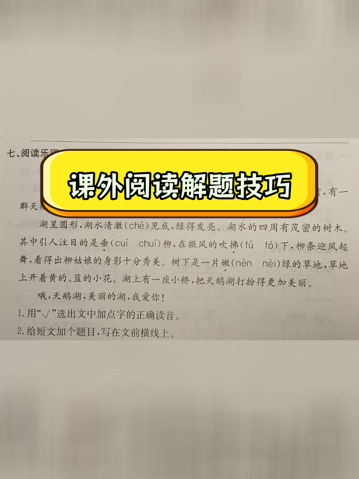 二年级语文课外阅读:天鹅湖的美丽与难题