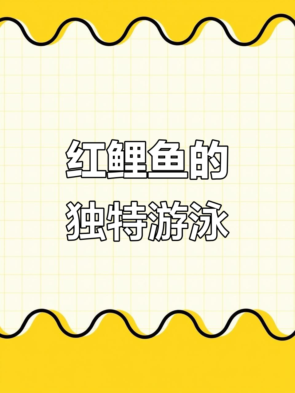 难得一见的红鲤鱼，游动在红色钓中