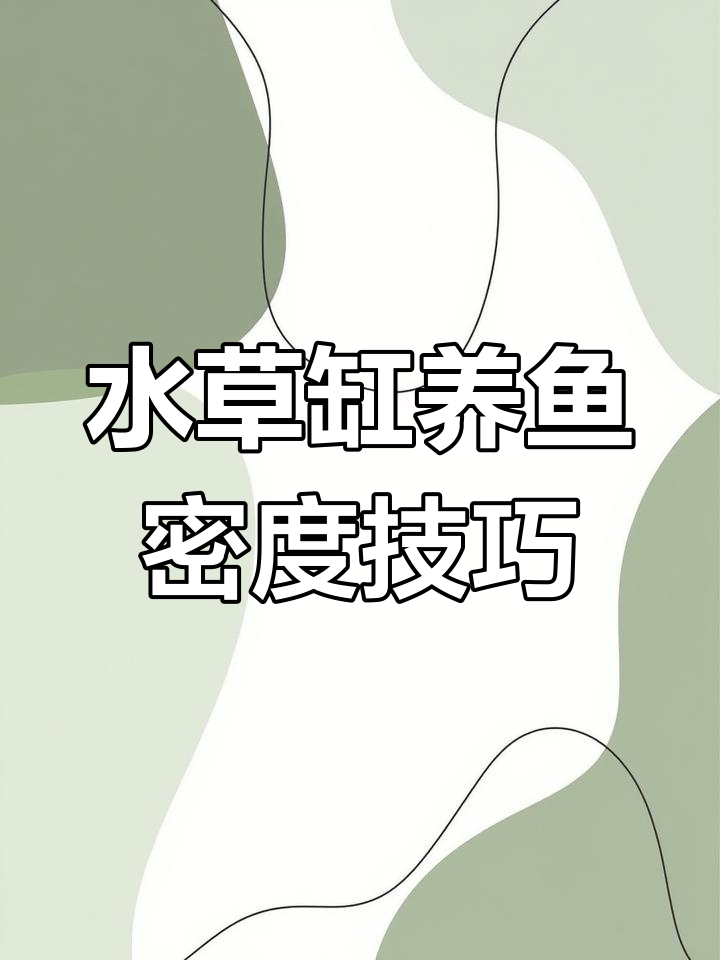 帝王灯鱼如何与其他鱼类搭配?新手必看水草缸养鱼密度控制