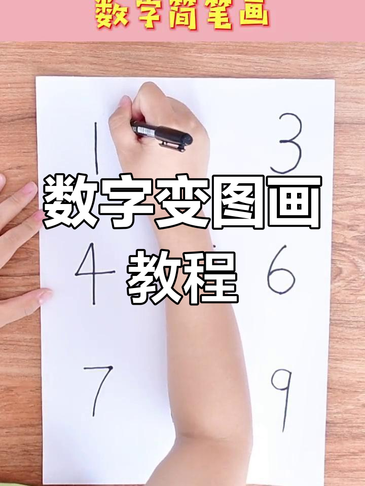 用数字画可爱动物和植物,简单又好玩