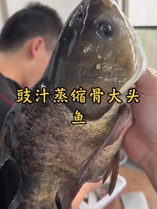 缩骨鱼是不是后面改良的品种? 寻味烟火气美食制作分享