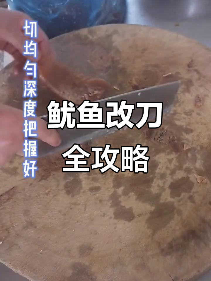 水发鱿鱼改刀技巧大揭秘,轻松切出完美形状