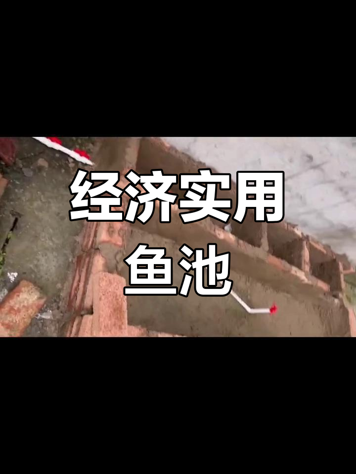 简单又经济的鱼池设计,图纸详解及建造过程