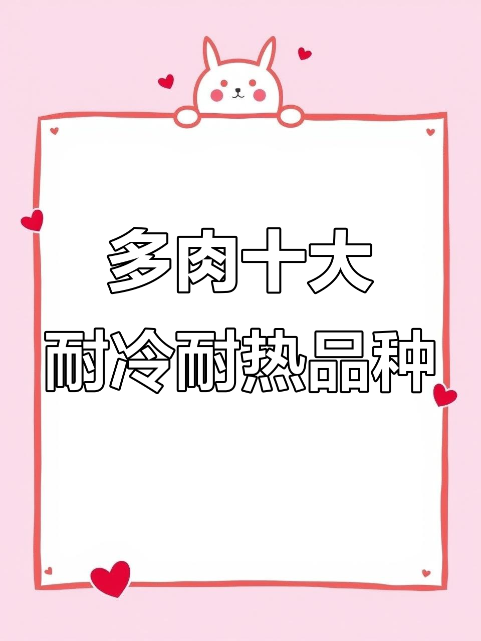 10种多肉植物，耐热又抗寒，适合各种环境养护