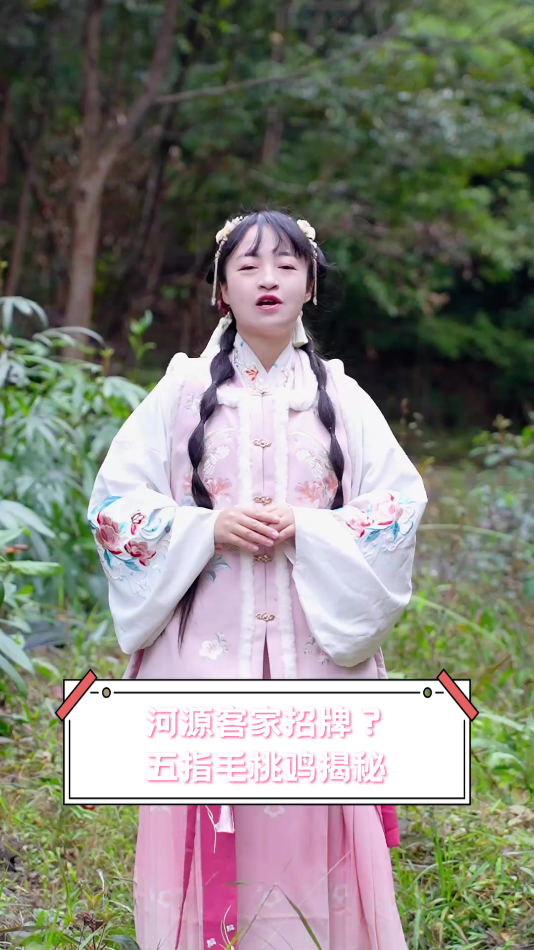 河源客家招牌?五指毛桃鸡揭秘