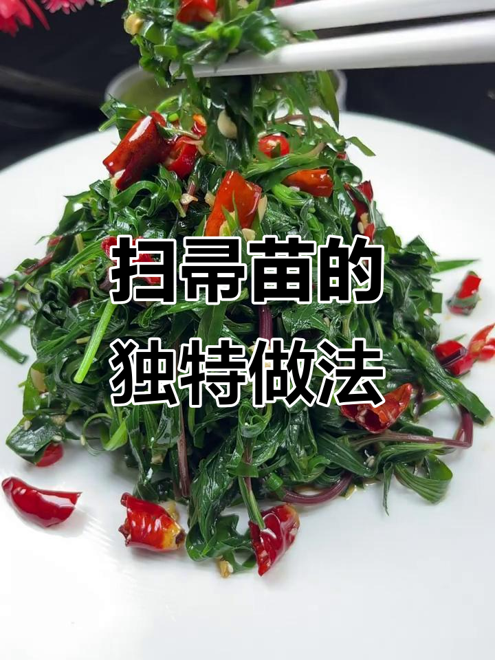 扫帚苗:野菜之王,清热解毒又美味