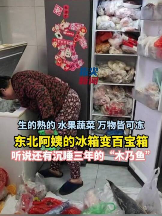 生的熟的 水果蔬菜 万物皆可冻 东北阿姨的冰箱变百宝箱 听说还有沉睡三年的“木乃鱼”(编辑