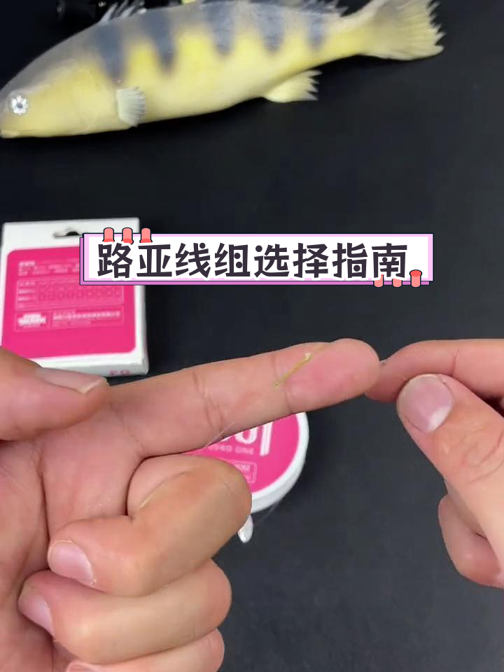 淡水路亚钓鱼前导线与主线的搭配技巧