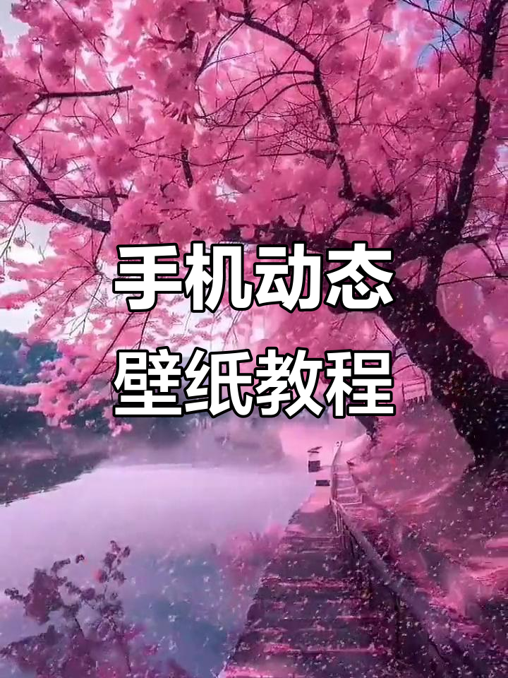 凤凰杯红色动态壁纸,让手机更炫酷