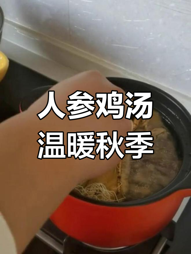 秋意渐浓,长白山人参炖鸡汤,暖心又美味!