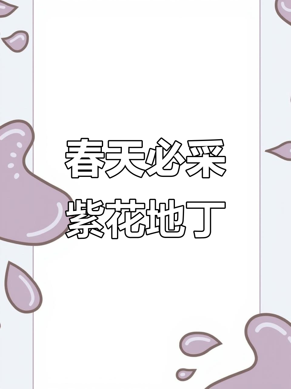 紫花地丁:春季开花,清热解毒的野生草本植物