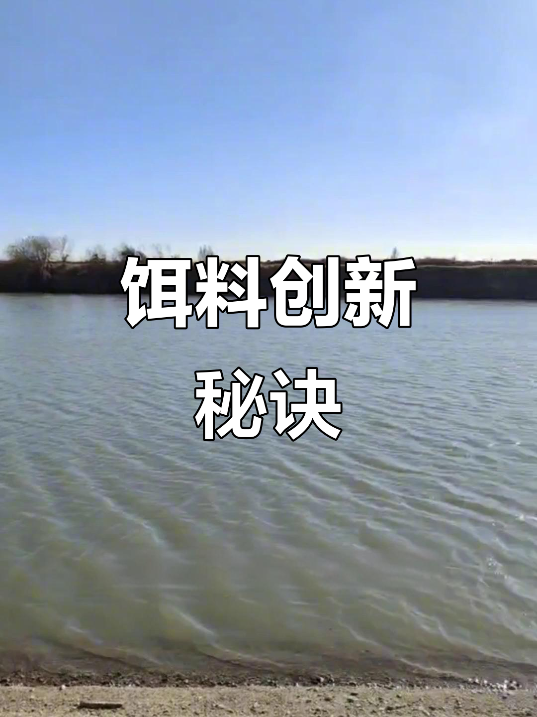 当所有人都依赖诱食剂,你需独特配方才能脱颖而出