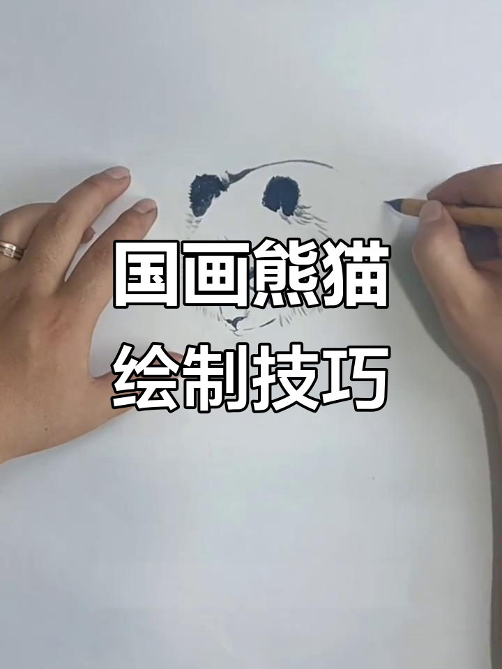 轻松学会国画大熊猫,步骤详解让你画出萌态十足的熊猫