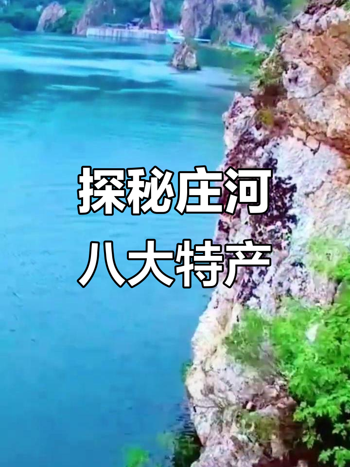 庄河八朵金花:山泉水、蓝莓与大骨鸡的魅力之旅