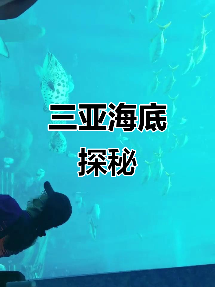 海南三亚海底世界大揭秘，鲨鱼和各种海鱼惊艳登场