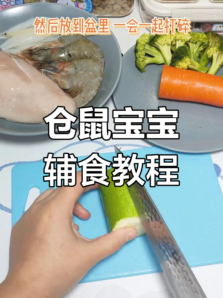 仓鼠宝宝辅食制作全攻略,简单又营养