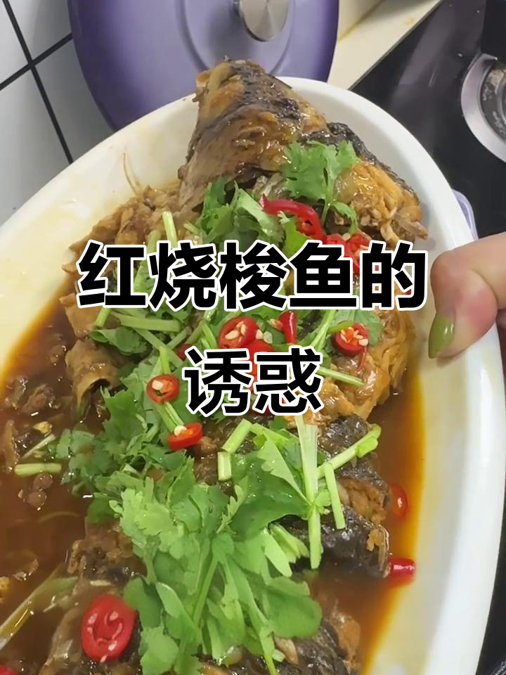 鲜美红烧梭鱼，简单又下饭，赶紧试试吧！