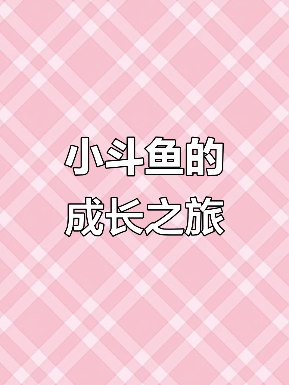 从小斗鱼到成年,耳朵逐渐变大,成长过程超有趣