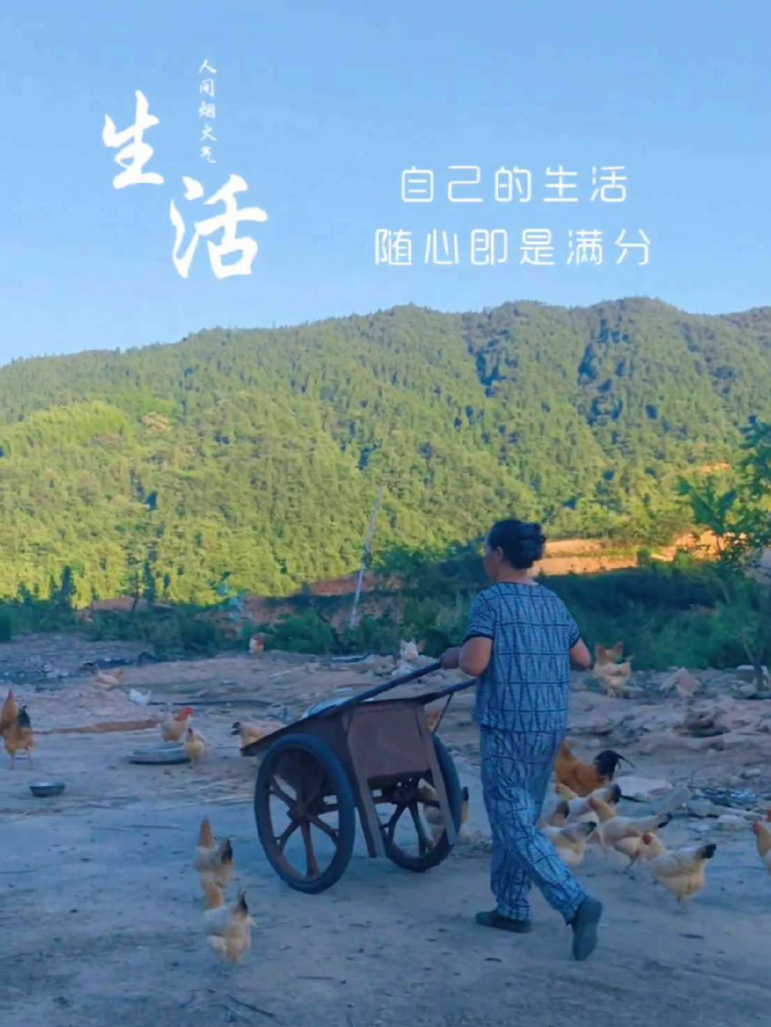 创作灵感 原创视频 生态散养土鸡 原生态乡村生活 记录生活 好山好水好地方 云上岳西 美丽