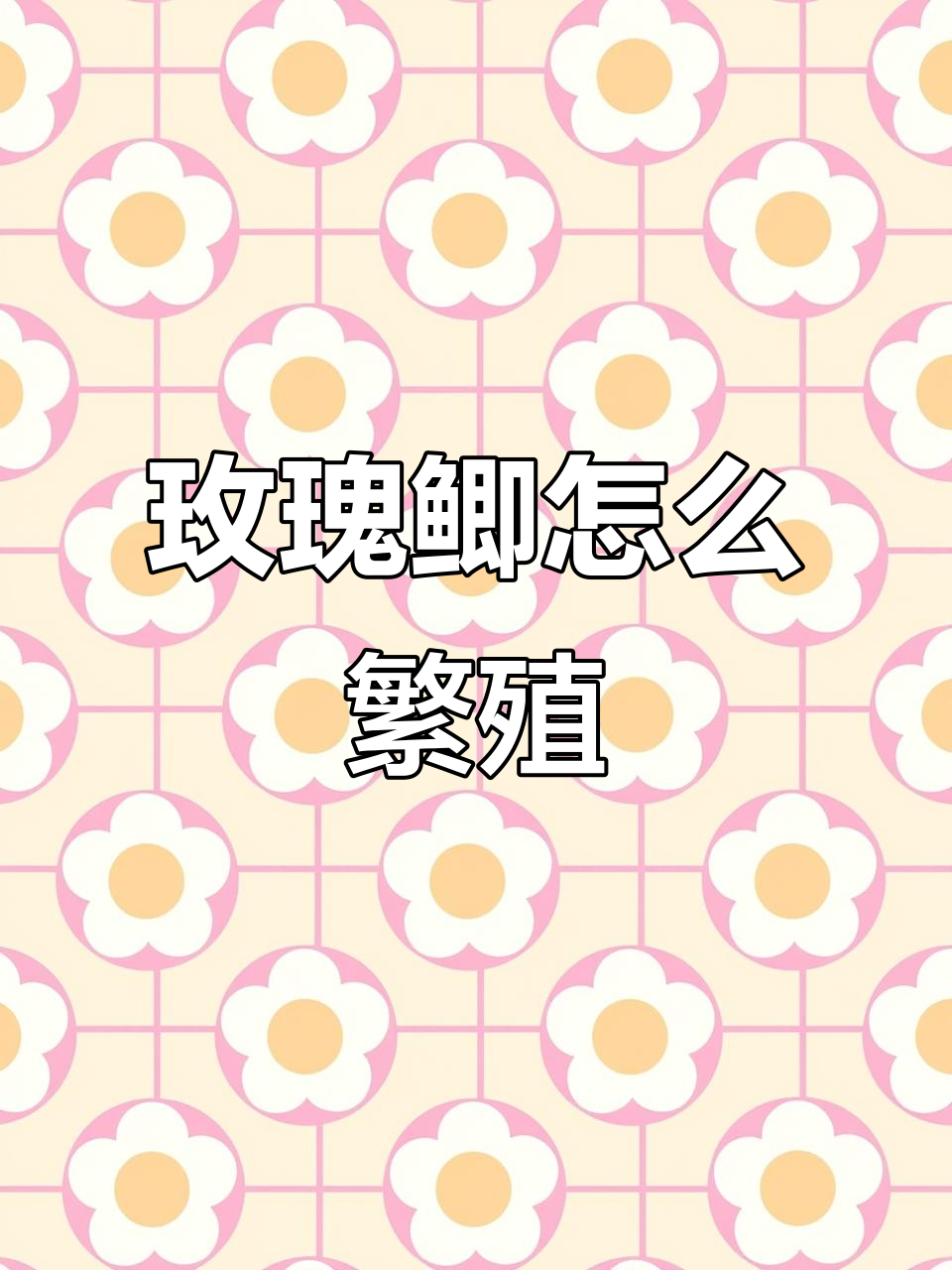 大帆玫瑰鲫繁殖技巧：如何挑选种鱼与设置缸内环境