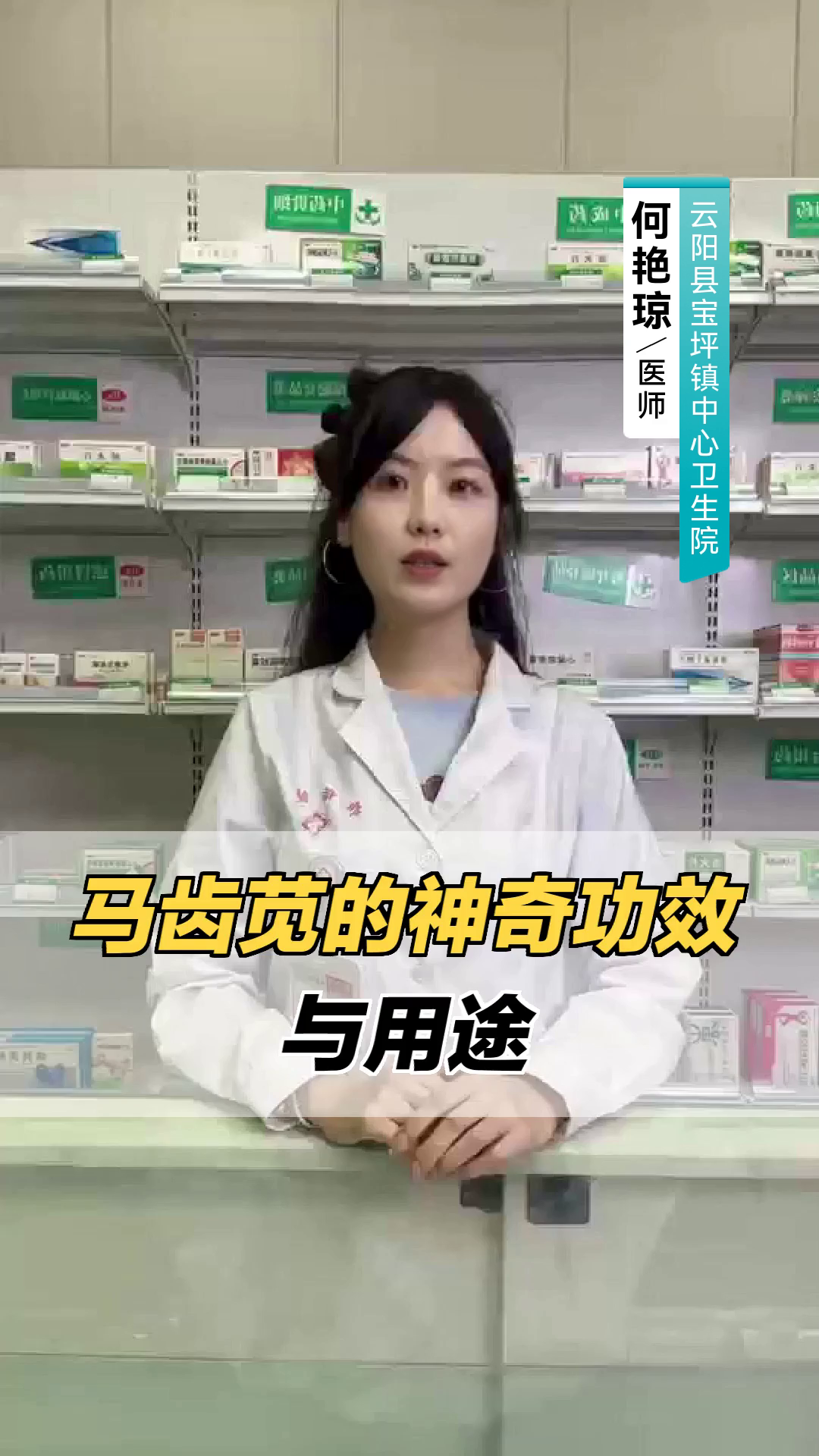 马齿苋的神奇功效与用途