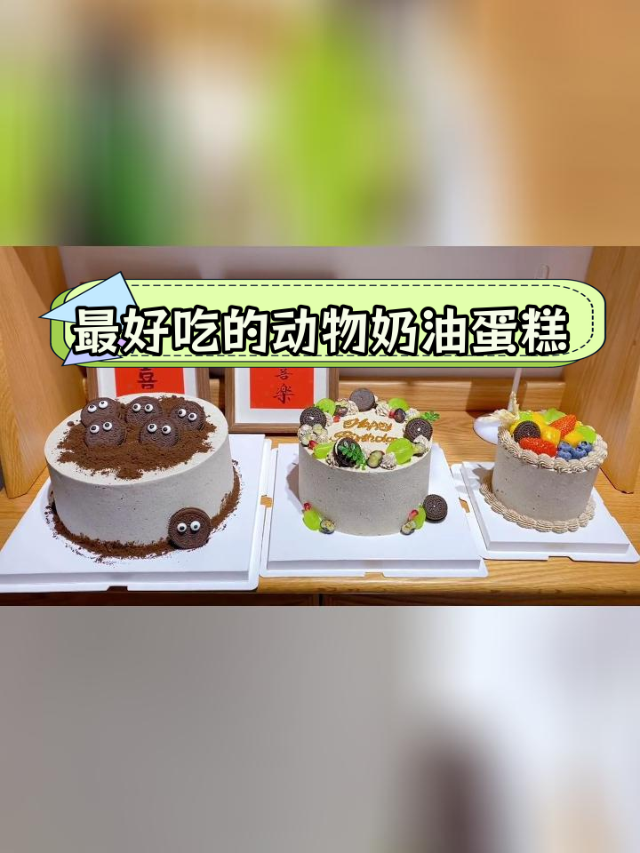 不同尺寸蛋糕对比,动物奶油更美味