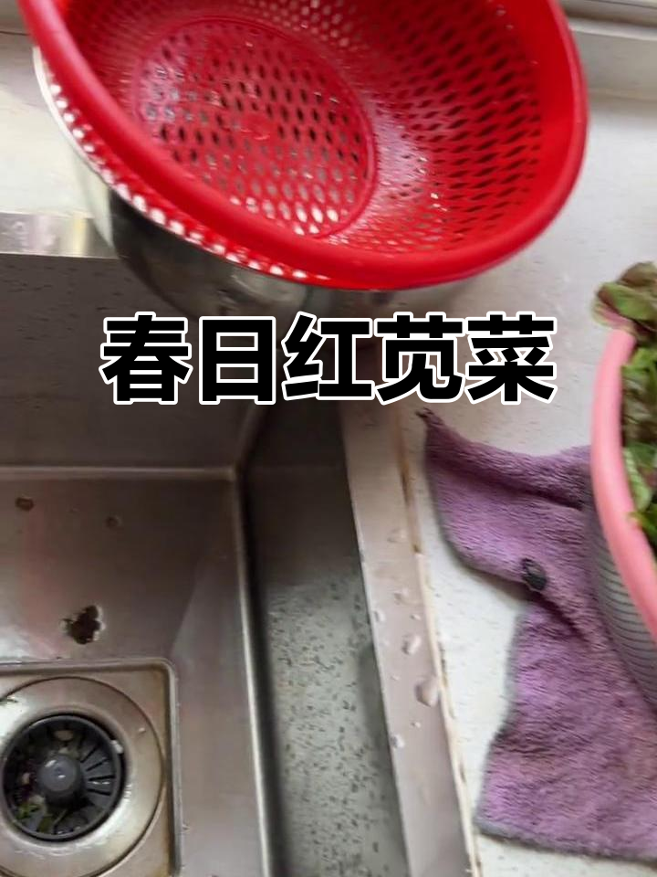 红苋菜清炒,保留原汁原味,春天的味道满满