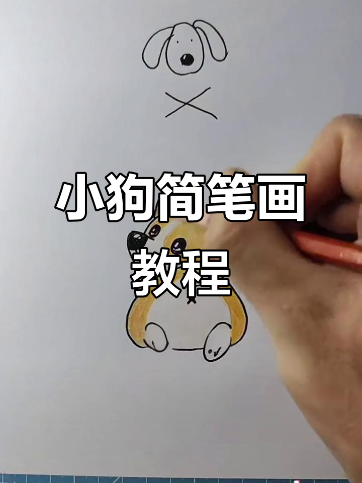 轻松画出可爱小狗，步骤简单又有趣
