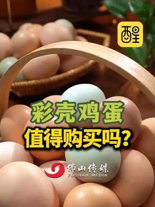 彩壳鸡蛋,值得购买吗?(编辑:钟艺姗;责编:崔锦玥;素材来源:央视三农)鸡蛋彩色鸡蛋健康当