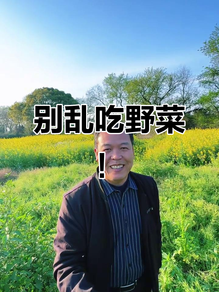 野菜误采有风险,石龙芮与水芹菜的区别要认清