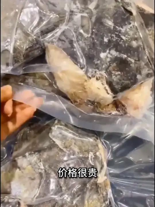 这个鸦片鱼头,冷链配送,特别新鲜,肉质鲜嫩,非常的鲜美!价格划算!喜欢吃鸦片鱼头的朋友千万