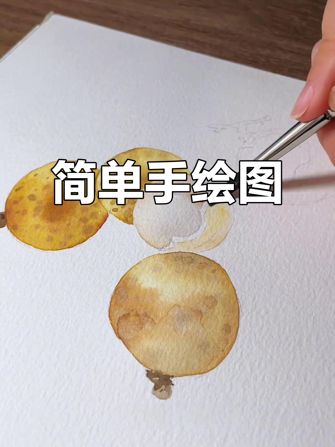 手绘桂圆,轻松学水彩画