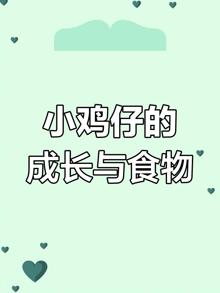 小鸡仔的迷惑行为:从内打破是成长,从外打破是食物