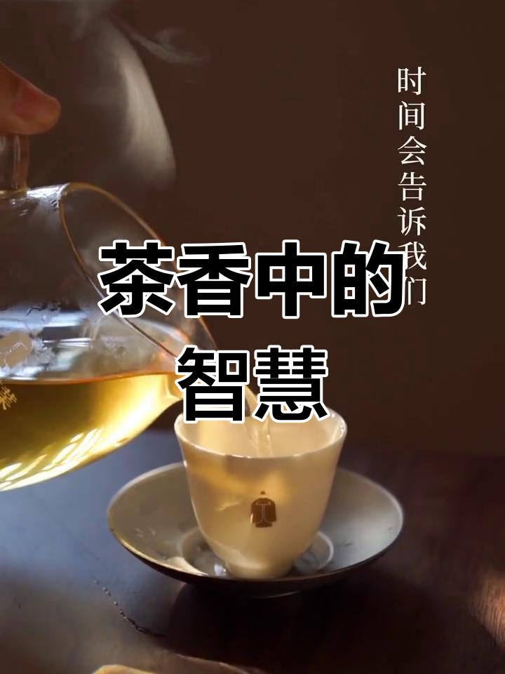 创意茶叶短片:品味人生,感悟茶道